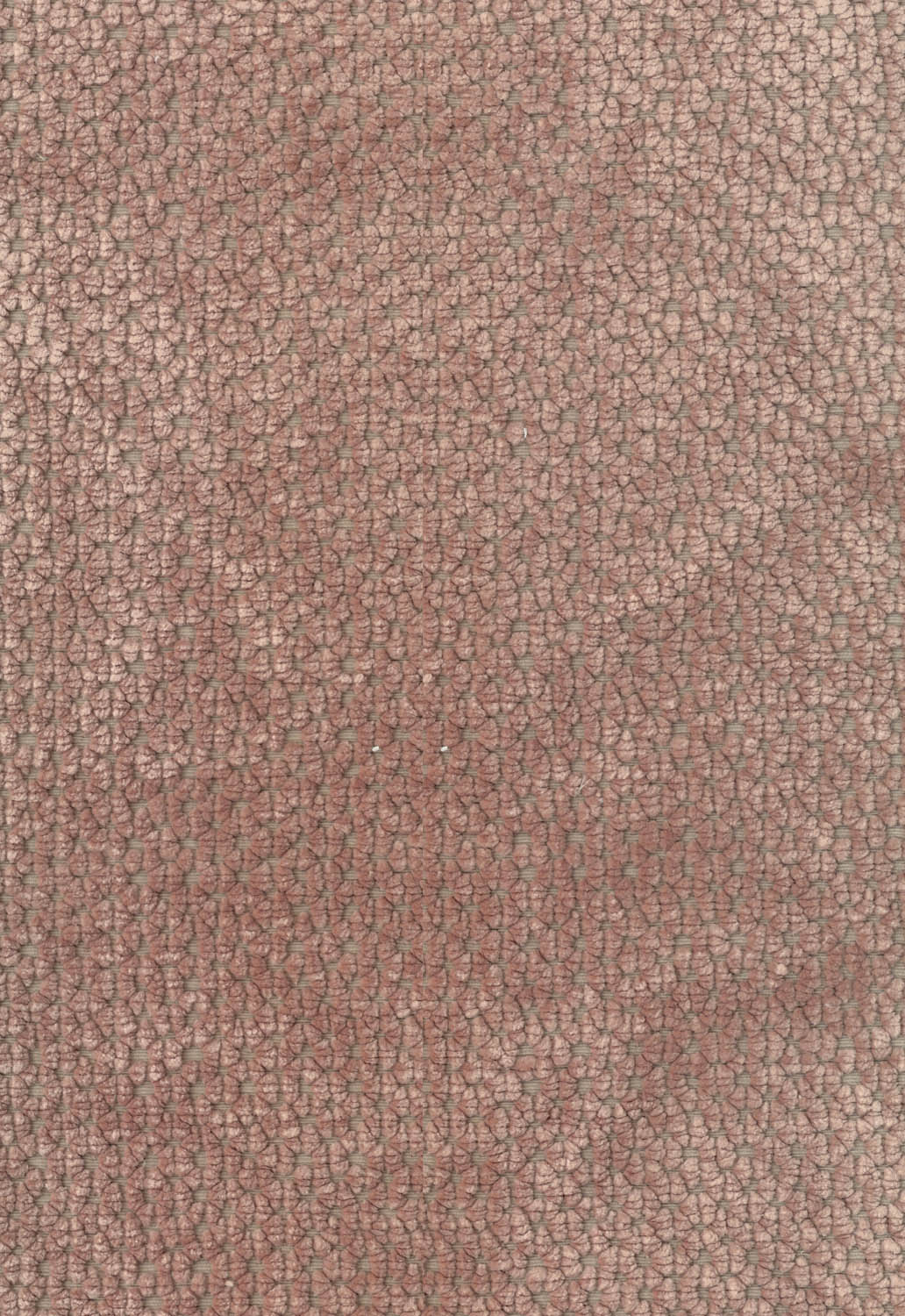 Tissu-beige-nero-2050-02