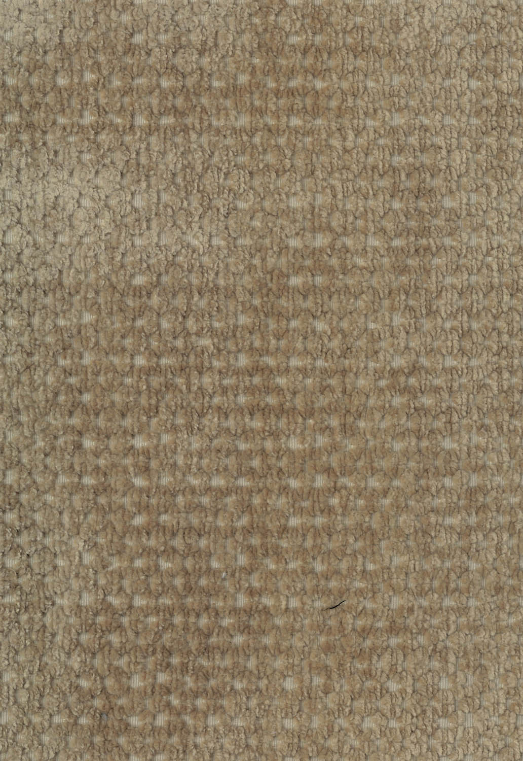 Tissu-beige-nero-4100-02