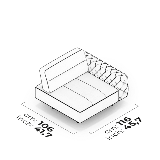 Module de bras (droit)