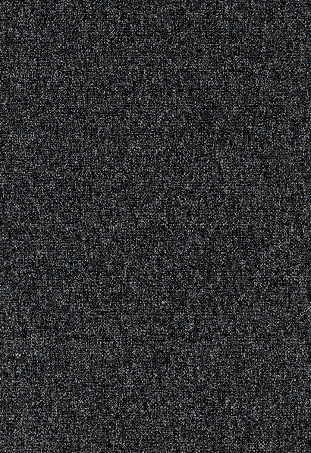 tissu-noir-allium-26