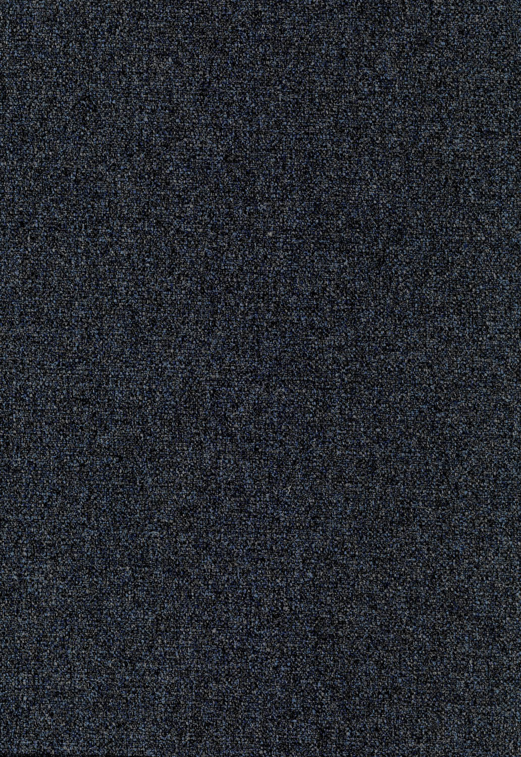 tissu-noir-allium-27