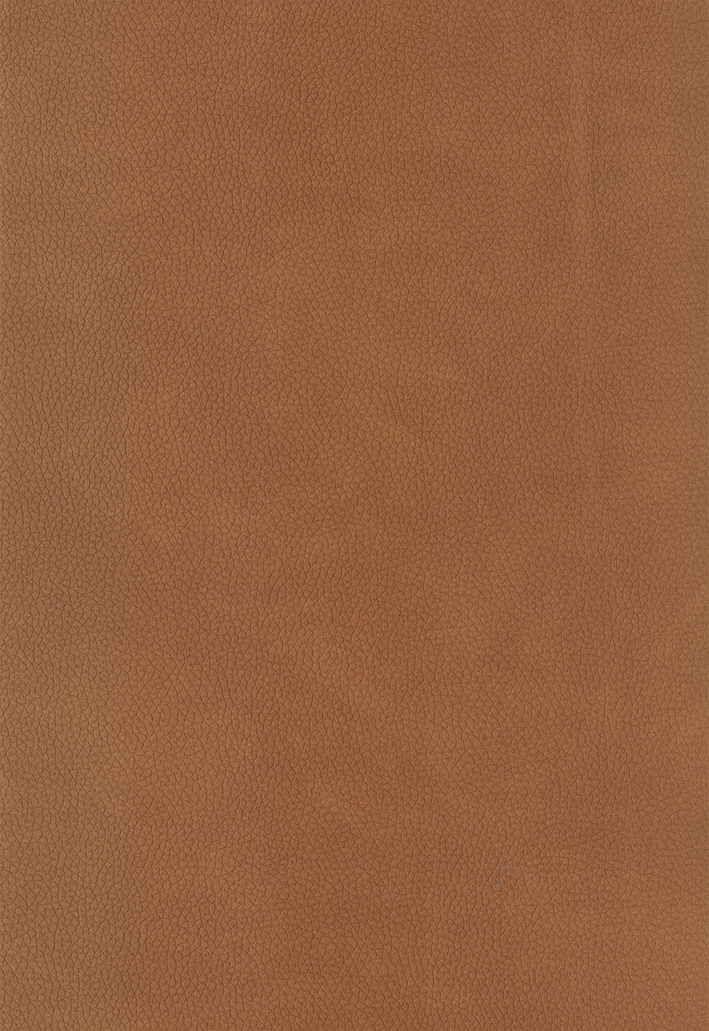 tissu-orange-massa-150